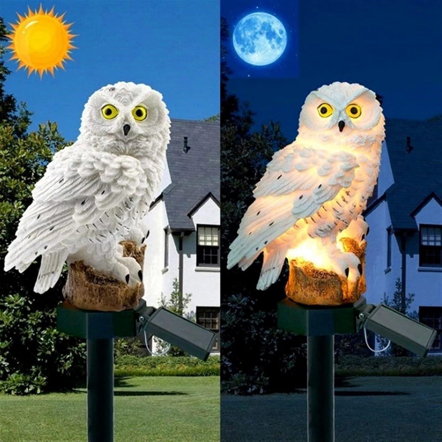 lumiere solaire exterieur - Hibou Blanc