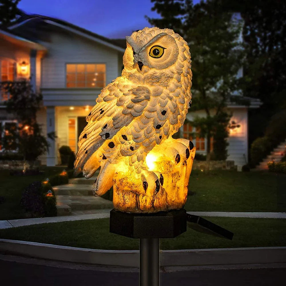 lumiere solaire exterieur - Hibou Blanc